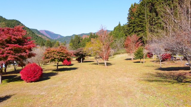 キャンプの森小来川